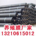 0.35/0.5ˮ�a(ch��n)�B(y��ng)ֳĤ���l(f��)ֱ�N�r(ji��)������Xһƽ���B(y��ng)ֳ��Ĥ_ֱ�N�S���x�Ã�(y��u)�|(zh��)�ľ���ϩԭ����(sh��) ...