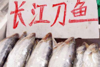 �L�����~������r��һ�ﵶ�~��һ�ﺣ��߀�F