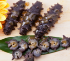 �����ĳԷ����������@�ɷN���m���ļ�