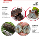 �����B������ҕ�����x���������a