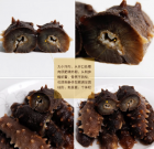 �Wُ����ՈС�ģ��e�����ЙC�����Į�