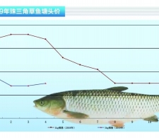 ���~���|�׷����r����������ˮ�aǰ�ء�2019��5�¿��Ј�څ��