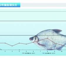 ���~���Ј��s�����r�����С�����ˮ�aǰ�ء�2019��5�¿��Ј�څ��