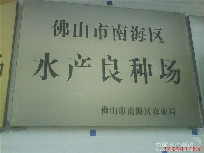 �Bֳ��.jpg