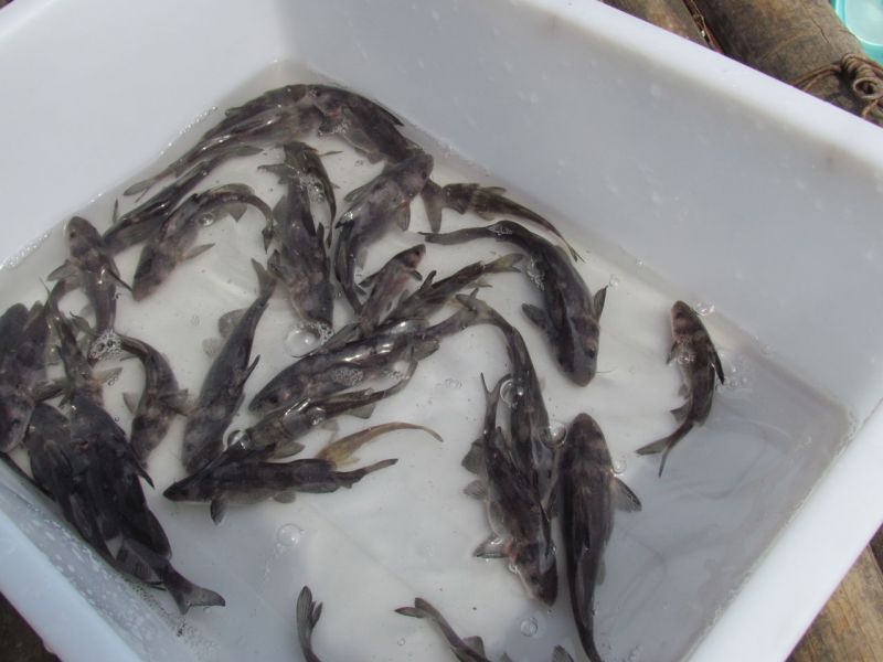 �L�ڴ��������L���d�����F�����~��Ҏ����N