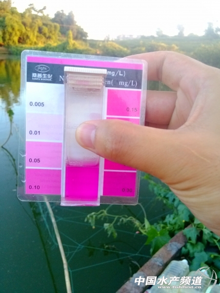 �Bֳ���������}�ˣ���ȥ�����y�yˮ�����������@�����}̫���ˡ�����