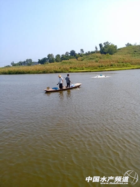 ���Bֳ����ôʹ����N��