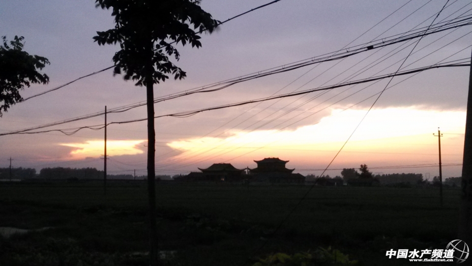 QQ�DƬ20140818210528.jpg