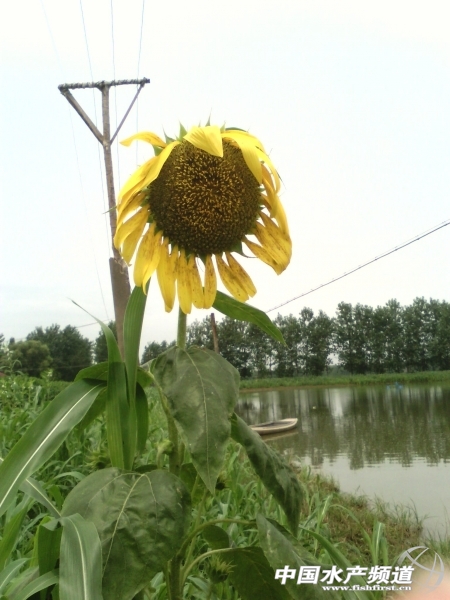 QQ�DƬ20140818210912.jpg