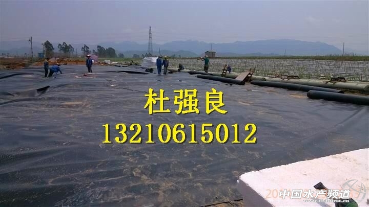 QQ�DƬ20150129080335.jpg