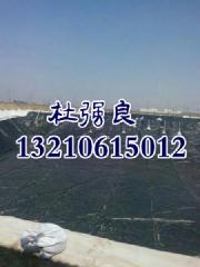 533166s.jpg