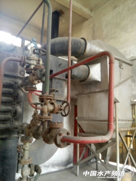 A1E08D6C12E64AA87327A968378A8B9A.jpg