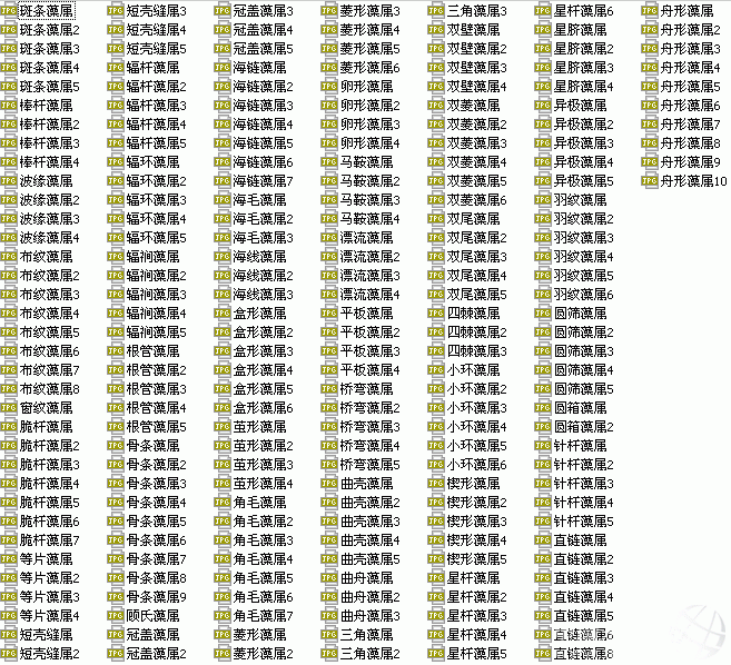 01.gif