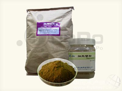 ��ĸ��(x��)���ڷ�