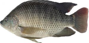 8��12�ա�17�ո��؅^�_���~�r��