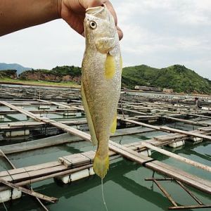 ���S�~֮��