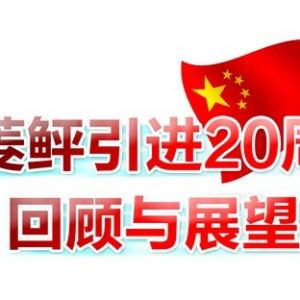 ���������M20�������cչ��