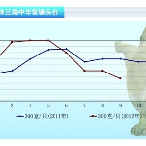 ���~�����M�I(y��)�ĺ�����?q��)����R������ˮ�a(ch��n)ǰ�ء�2012��10�¿��Ј�(ch��ng)څ��(sh��)