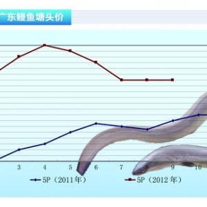 ���~������Ӱ� 혵��B(y��ng)�������B(y��ng)���~������ˮ�a(ch��n)ǰ�ء�2012��10�¿��Ј�(ch��ng)څ��(sh��)