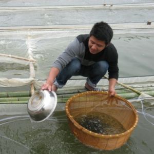 ���|�˹������p�� ���~�r����m����