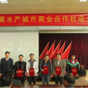 �����y���Y���׽����| ��߆Α��J500�f