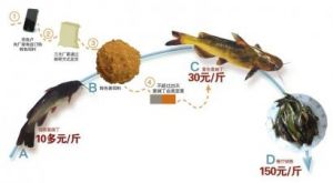 ���D(zhu��n)ɫ�S�������L(f��ng)�ҾW(w��ng)�j(lu��)��ʳƷ��ȫ�Εr(sh��)����