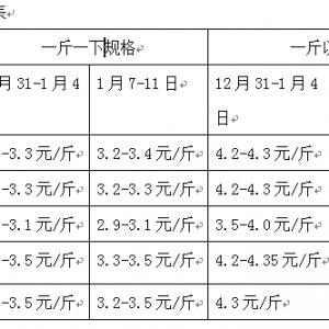 2013��1��7-11���_���~�܈�