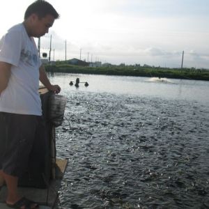 ���Ϻ����Ʊ�