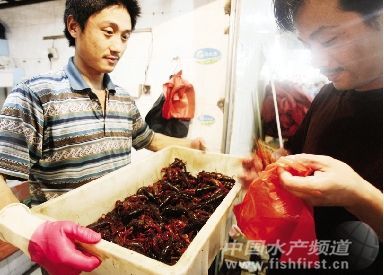 �L(zh��ng)���̈�(b��o)��Ϣ