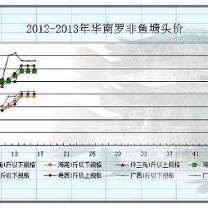 2013��3��11-15���_���~�r�������܈�