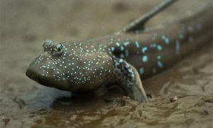 �V�|���ݣ��r�������~���ŵ���13��