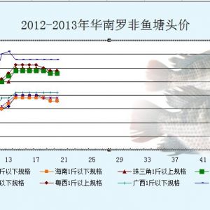 2013��4��15-19���_���~�r�������܈�