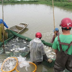 �麣���|���ݻ��� ����Ͷ�Ž�2�|β