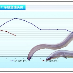 ���~�����r�������F(xi��n)�^�󲨄ӡ���ˮ�a(ch��n)ǰ�ء�2013��5�¿��Ј�څ��
