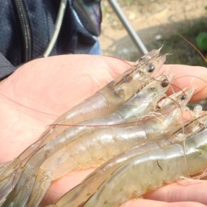 2012��|�ρ����r�I�śr