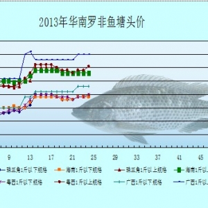 5��13-17���_���~�r�������܈�