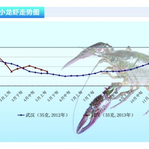 С���r���N�����Ӄr(ji��)�񿴵�����ˮ�a(ch��n)ǰ�ء�2013��6�¿��Ј�څ��