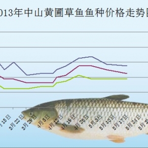 2013��5����ɽ�S�Բ��~�~�N�r����r