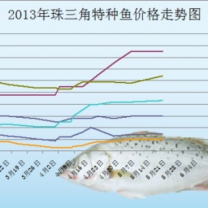 2013��5���������طN�~�r����r