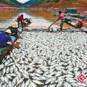 ����ī��ǧ�����~ȱ������ 86���B(y��ng)���pʧ�K��