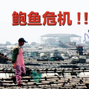 �Ї�����U�~�B(y��ng)ֳ���ؖ|ɽ�u����Σ�C