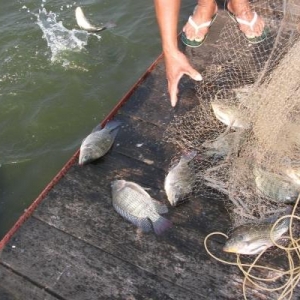 �_���~(y��)�����Ӱ�?h��)~(y��)�r(ji��)����(d��ng)�������~(y��)�r(ji��)��(l��)�^