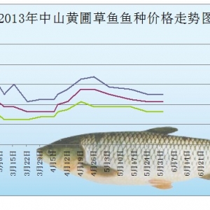 2013��5��15-6��1����ɽ�S�Բ��~(y��)�~(y��)�N�r(ji��)����r