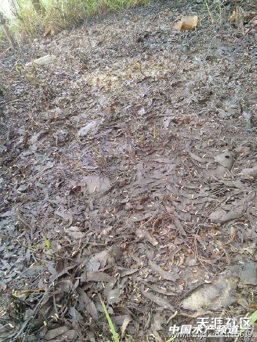 �V�|����ˮ�a(ch��n)ʳƷ���޹�˾��ˮ�M�����r(n��ng)����