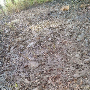 �Ǵ��Bֳ���؇���ˮ�a��ˮ�M�����r����