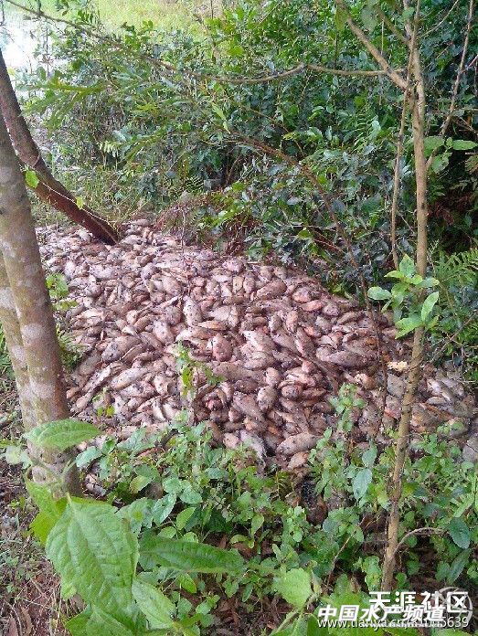 �V�|����ˮ�a(ch��n)ʳƷ���޹�˾��ˮ�M�����r(n��ng)����