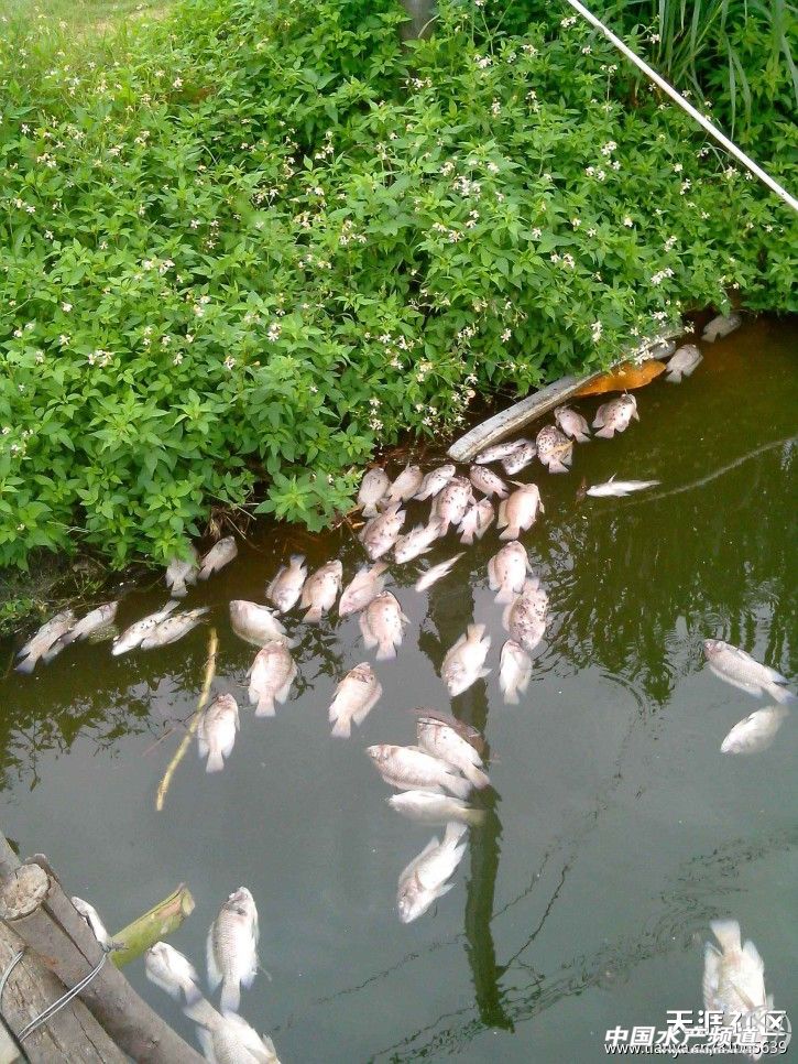 �V�|����ˮ�a(ch��n)ʳƷ���޹�˾��ˮ�M�����r(n��ng)����