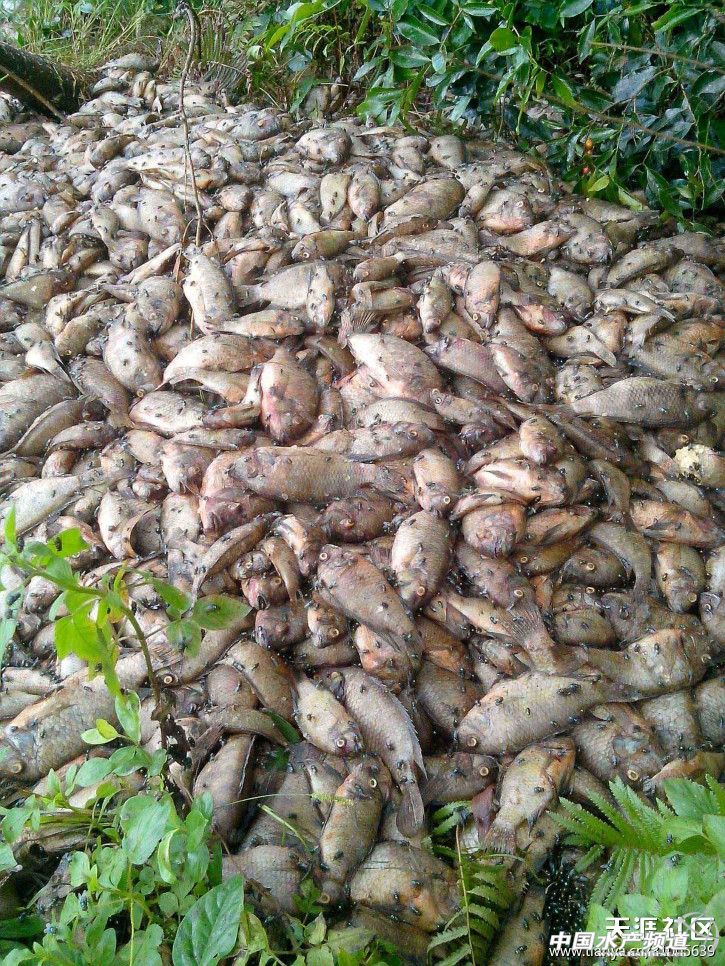 �V�|����ˮ�a(ch��n)ʳƷ���޹�˾��ˮ�M�����r(n��ng)����