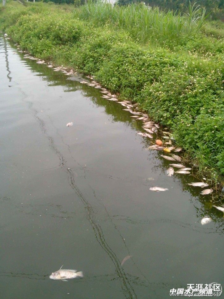 �V�|����ˮ�a(ch��n)ʳƷ���޹�˾��ˮ�M�����r(n��ng)����