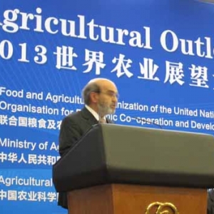 2013�����r�Iչ�����Ї��r�I�Ј����غ͔U��